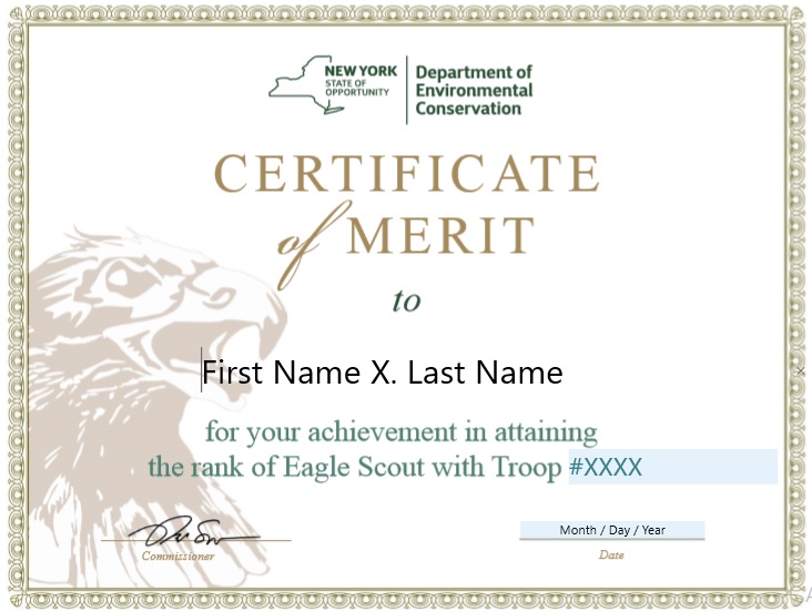 Merit Certificate Template