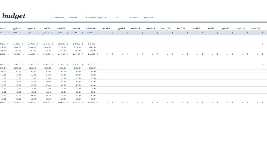 Business Budget Sheet